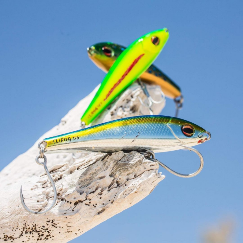 Lures – Tagged soft bait – Mahigeer Water Sports