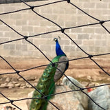 Animal & Pet Fence Netting