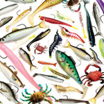 Preowned Fishing Lures