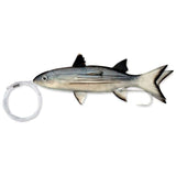 WILLIAMSON LIVE SPLIT TAIL MULLET